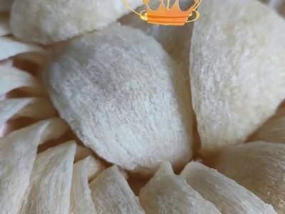 金燕盞 - 盏大色白，盏形完美。送礼体面，收礼的人懂你的用心。高端送礼首选。