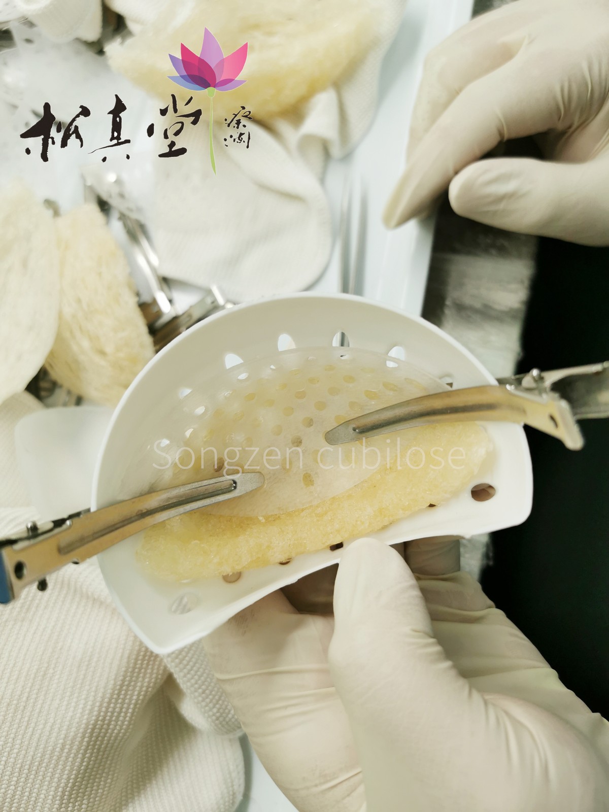 金燕盞 — 盞形完美