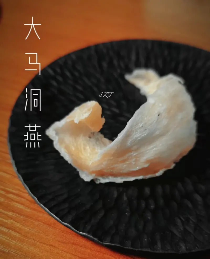 洞燕 — 金絲燕在自然環境中築巢