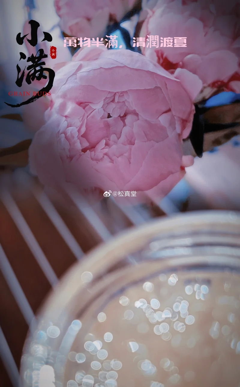 小滿·順時滋養